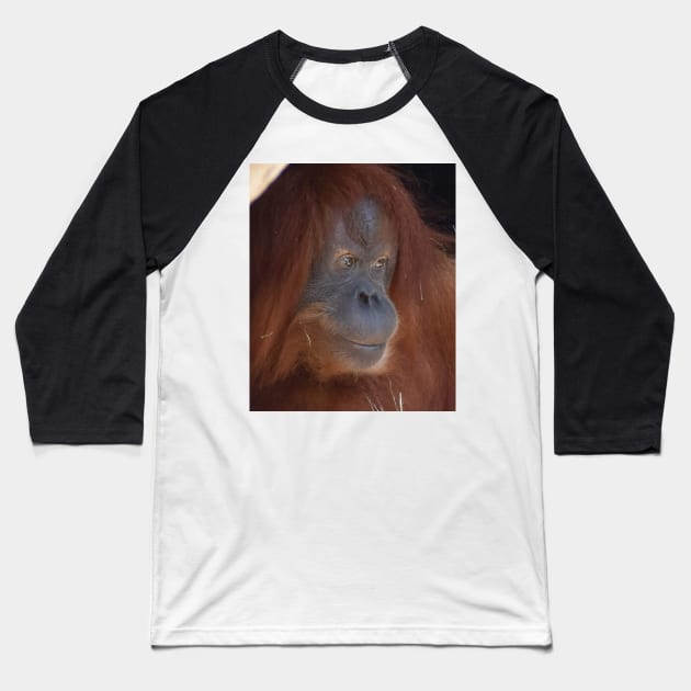 Orangutan Baseball T-Shirt by Sharonzoolady